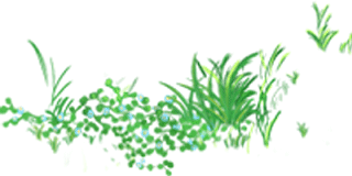 秉烛扫榻,等你寻光而来——3.8节“疫”下的光华园丁图片_67108863 秉烛扫榻,等你寻光而来——3.8节“疫”下的光华园丁图片_67108863