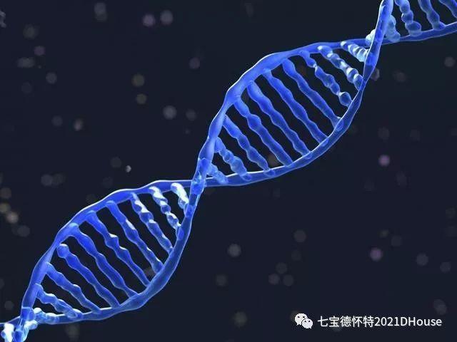 学术季回顾图片_511 学术季回顾图片_511