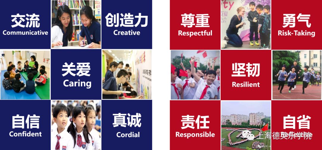 招生 | 2月22日，我们把说明会搬到了线上图片_255