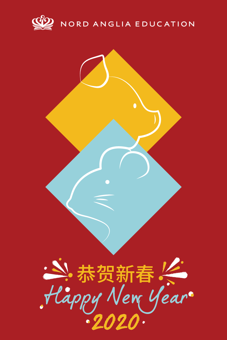 2020年：诺，德，安，达，“鼠”不胜“鼠”图片_3