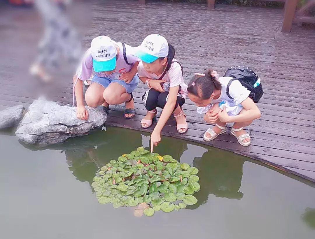 暑期回顾 | 记西南位育中学国际部与湖南丁山中小学的一场缘分图片_1023 暑期回顾 | 记西南位育中学国际部与湖南丁山中小学的一场缘分图片_1023