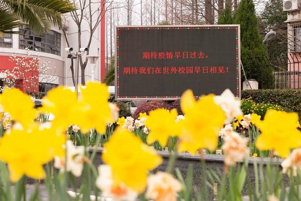 桃源在心,世外在线——记世外中学2020年线上教育启动仪式图片_3 桃源在心,世外在线——记世外中学2020年线上教育启动仪式图片_3