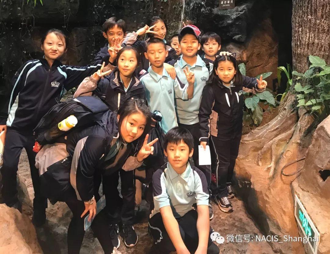 小学部丰富多彩的秋游 Primary Autumn Trips图片_8191 小学部丰富多彩的秋游 Primary Autumn Trips图片_8191