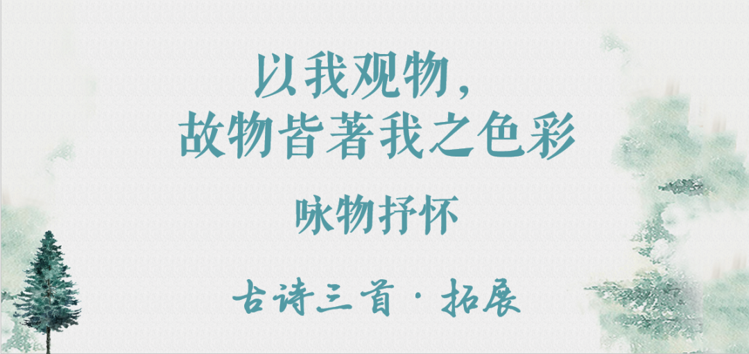 G6 | “以我观物，故物皆著我之色彩” ——咏物抒怀写段优秀作品集图片_1