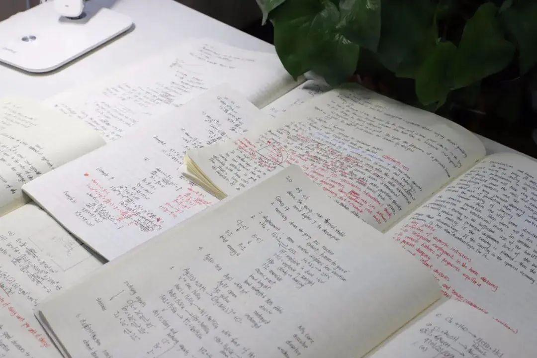 上实剑桥 | 我的网课记9：理想终是可以达到的远方图片_15
