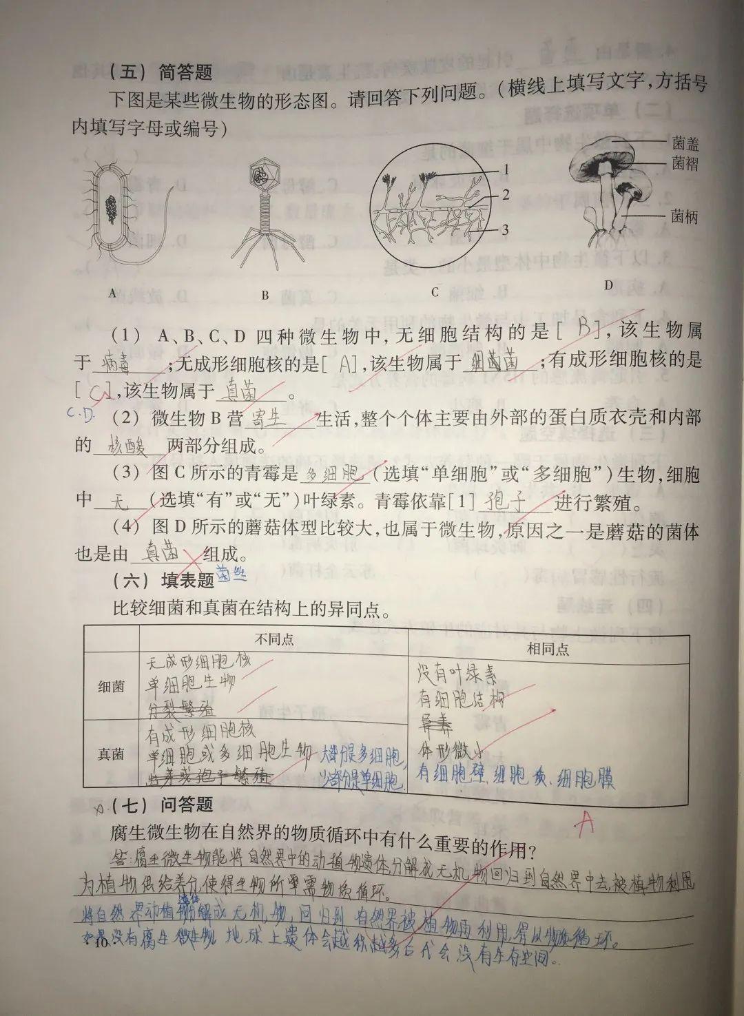 表彰 | 优秀线上学习者表彰（一）图片_81129638414606681695789005144063