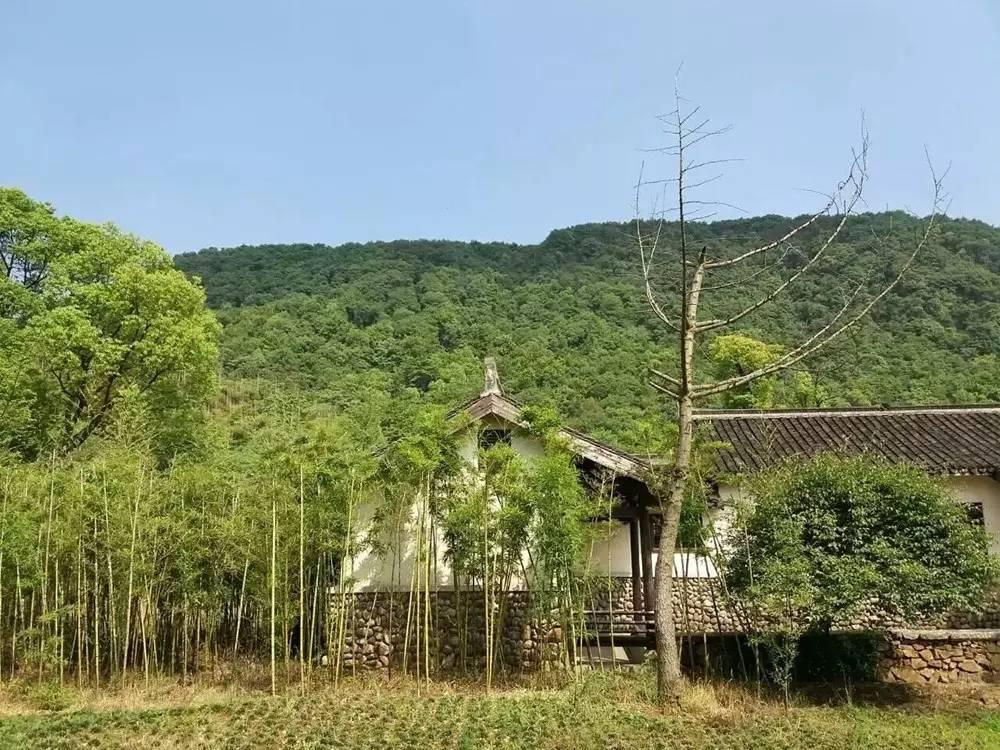 用文字和脚印,感谢文化馈赠——记MYP浙江绍兴探究之旅图片_7 用文字和脚印,感谢文化馈赠——记MYP浙江绍兴探究之旅图片_7