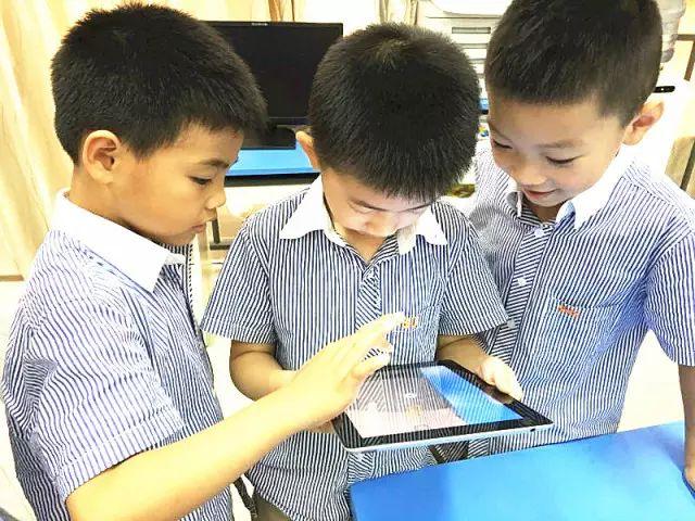Touching the World Here——国际部PYP社团一览图片_255
