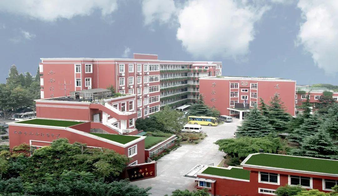 引领成长，塑造未来 | 西南位育中学国际部升学指导专篇图片_33554431