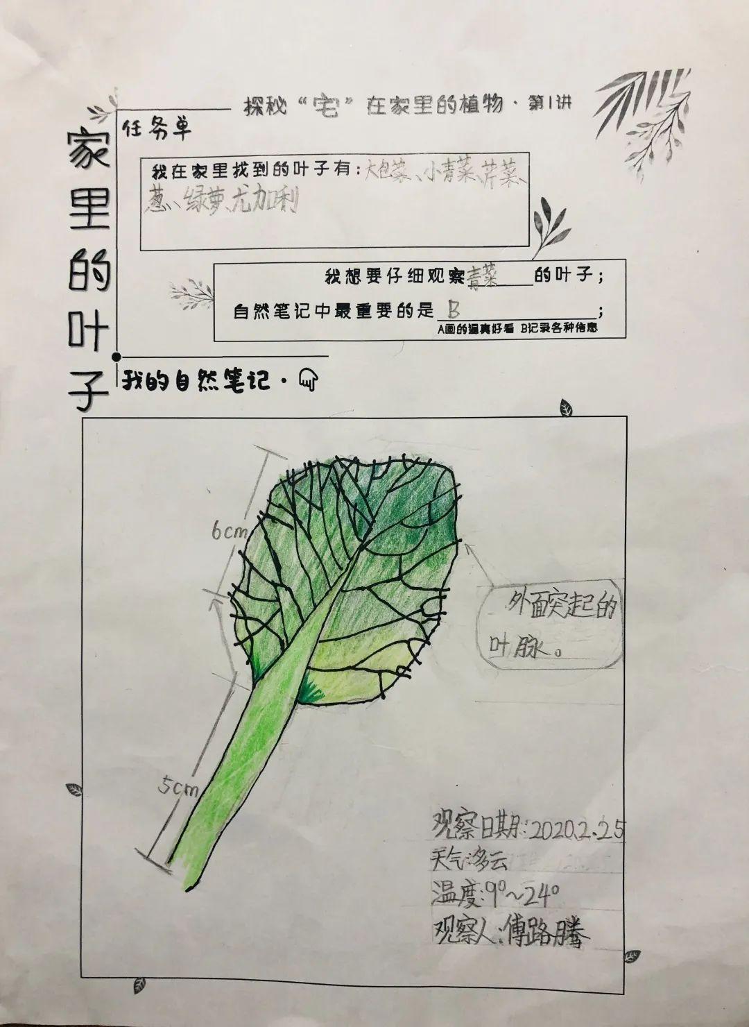 玉琢成器 人学知义——记尚德航头校区之“云”端战“疫”图片_70368744177663 玉琢成器 人学知义——记尚德航头校区之“云”端战“疫”图片_70368744177663