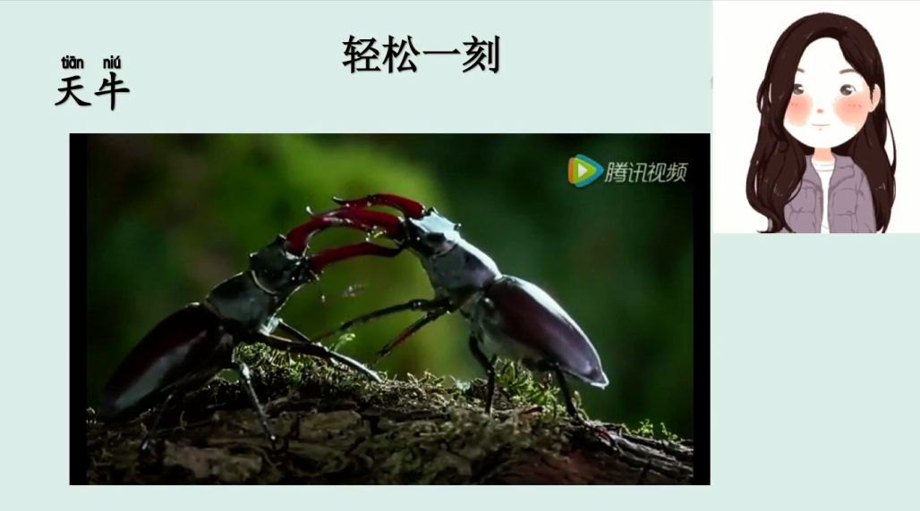 Remote learning heralds in a brand-new way to study Chinese图片_255 Remote learning heralds in a brand-new way to study Chinese图片_255