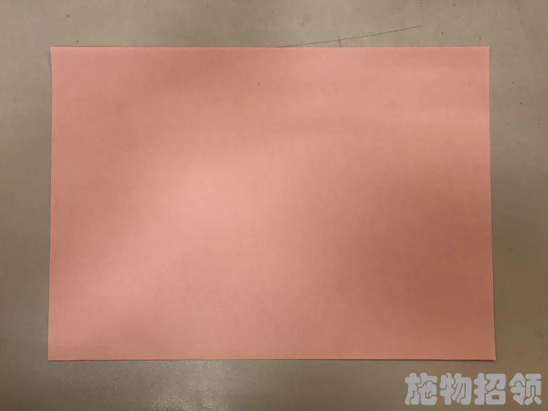 【施物招领】少年，你想做“飞猪”吗？图片_4294967295