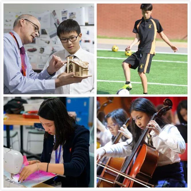 We are Wellington | 我的儿子如何成功进入康奈尔大学—来自惠灵顿优秀毕业生母亲的分享图片_511
