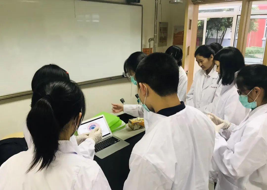 【2020届DP学子风采录】用显微镜看世界——从渺小细胞到漫漫人生图片_255 【2020届DP学子风采录】用显微镜看世界——从渺小细胞到漫漫人生图片_255