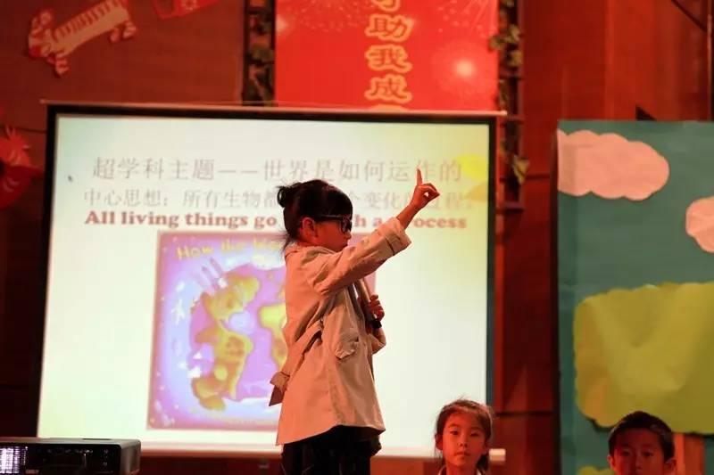 一场动植物界的欢乐盛宴——记尚德国际部PYP一年级课程展图片_134217727 一场动植物界的欢乐盛宴——记尚德国际部PYP一年级课程展图片_134217727
