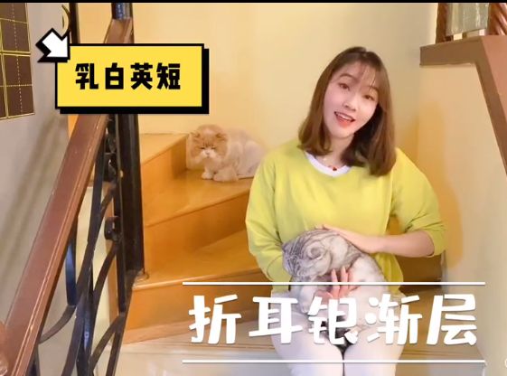拥抱自然，我们是春天里的歌 | The Second Semester 2019-2020 SUIS TV III图片_63