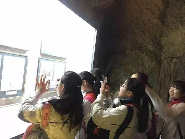 春季行走课程——上海上大附外中图片_32767