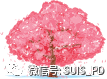 走出去,享春色暖阳趣拾花图片_1048575 走出去,享春色暖阳趣拾花图片_1048575