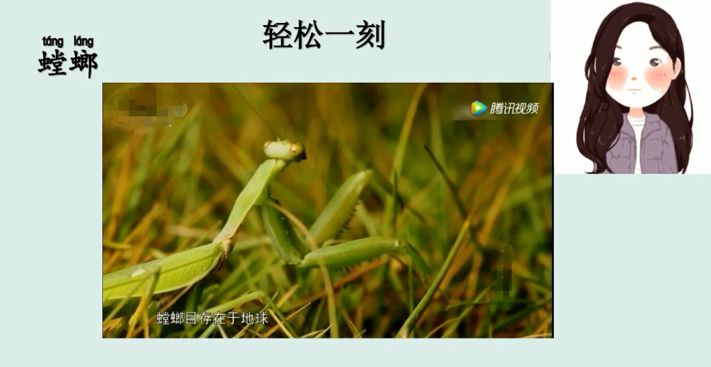 Remote learning heralds in a brand-new way to study Chinese图片_127 Remote learning heralds in a brand-new way to study Chinese图片_127