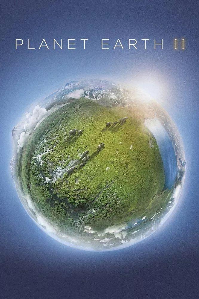 Life education: 15 nature documentaries to watch图片_31