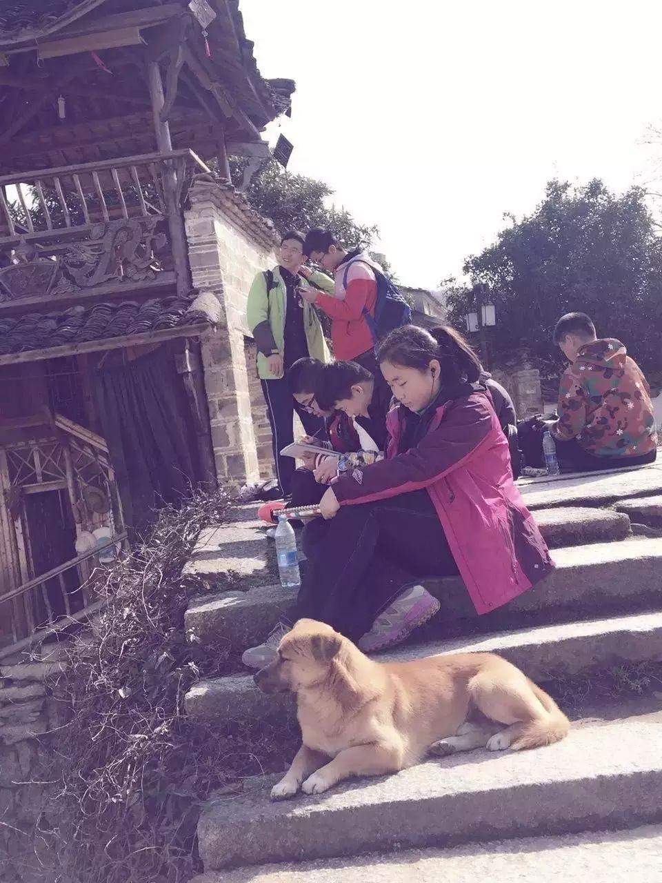2016学年冬季行走课程徽州文化游成果汇报图片_33554431