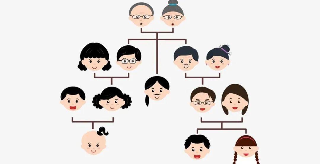 悦目临窗校长日记|毕业课程之“我的家谱”图片_15 悦目临窗校长日记|毕业课程之“我的家谱”图片_15