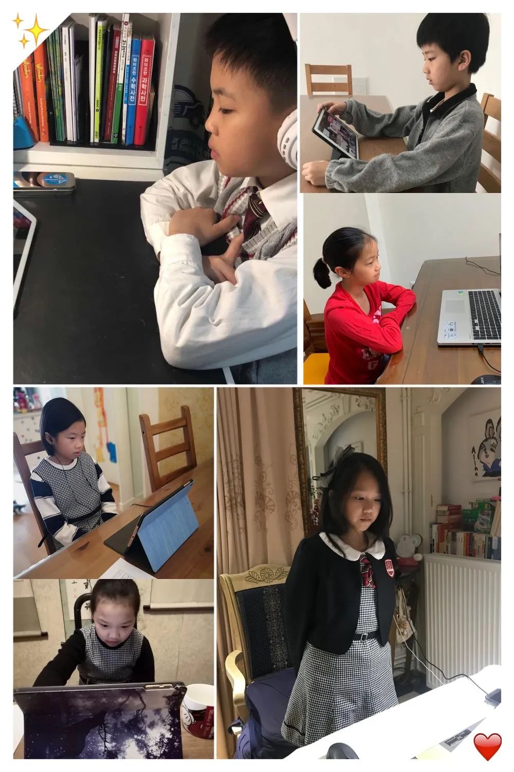 与自然对话，与自己对话——献给上实国际部孩子们的开学第一课图片_262143