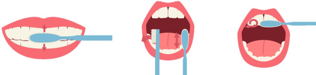 口腔保健怎么做？看校医老师的专业分享图片_65535