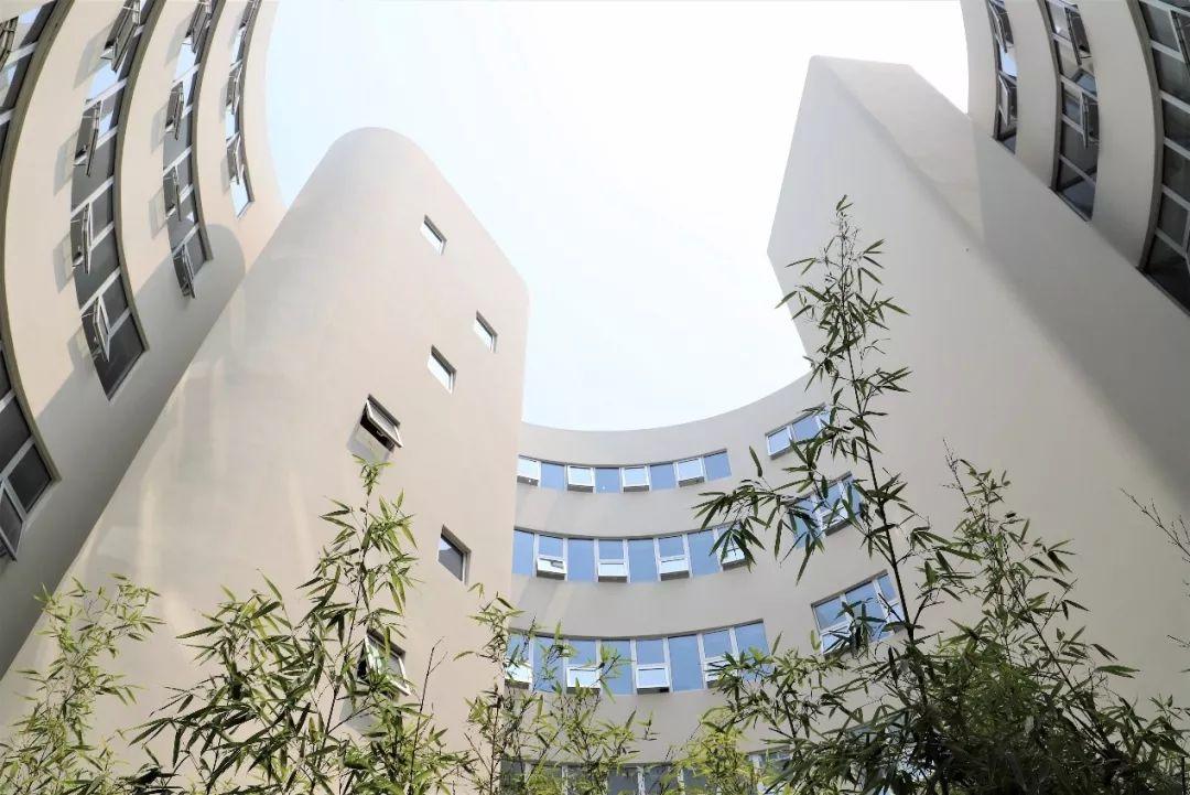 这所"超级学校"斩获藤校大满贯，如何做到的？为此，我们采访了青浦平和校长...图片_131071