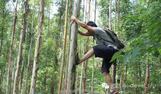哈利波特？三国杀？细数那些让你目瞪口呆的国外大学奇葩课程图片_127