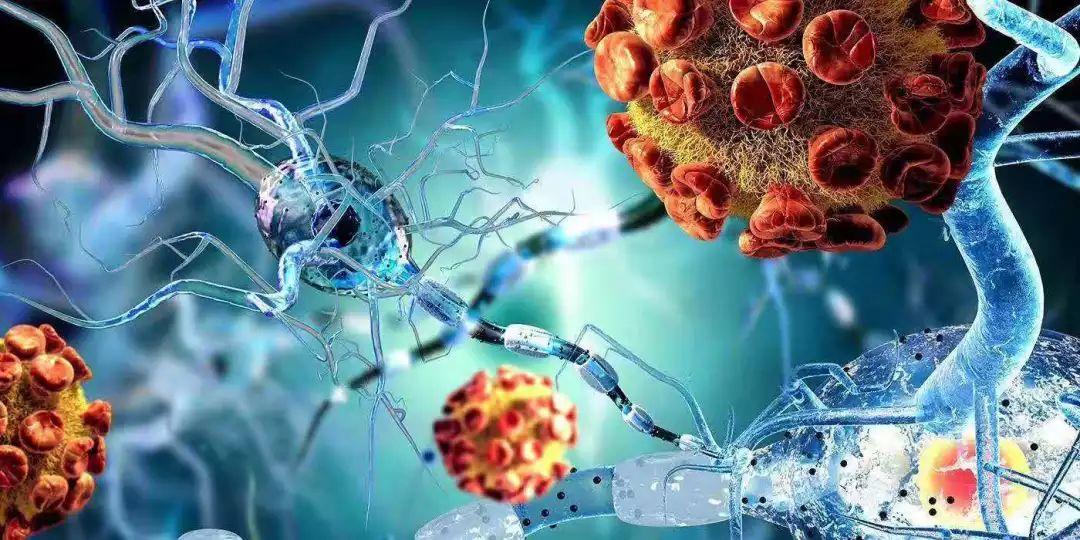 真棒！17+9名领科学子获得物理生物大奖！图片_15