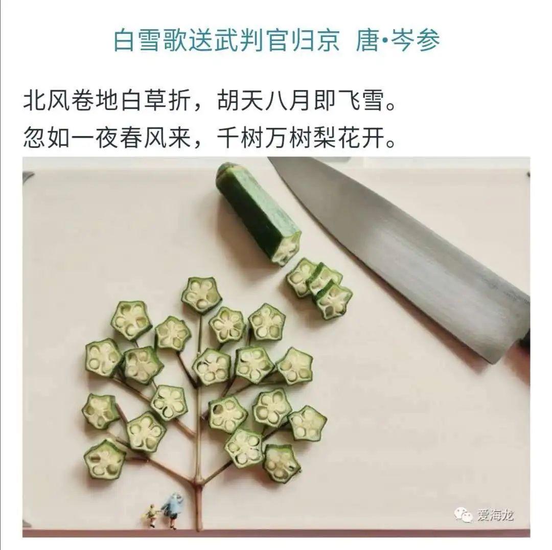 【家长有意思】牵一只蜗牛去散步图片_2047 【家长有意思】牵一只蜗牛去散步图片_2047