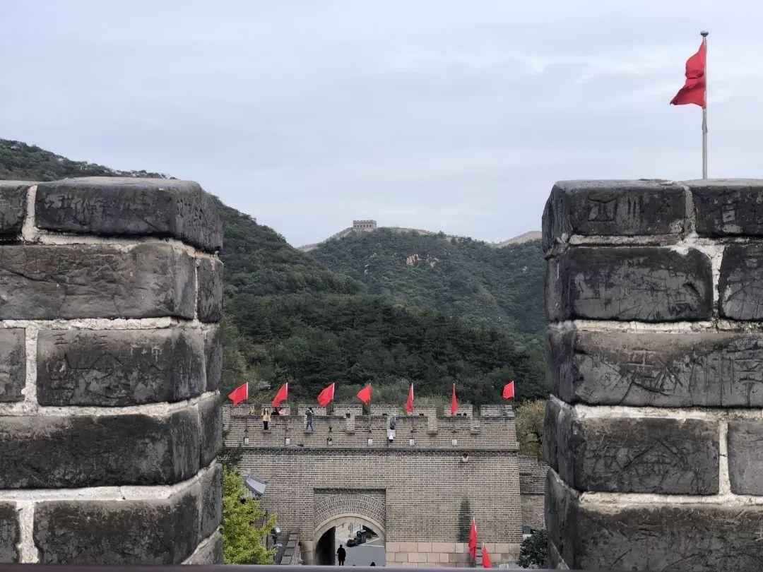 心怀人文,行走鲁京 | 记西南位育中学国际部2019学年鲁京人文行行走活动 3图片_127 心怀人文,行走鲁京 | 记西南位育中学国际部2019学年鲁京人文行行走活动 3图片_127