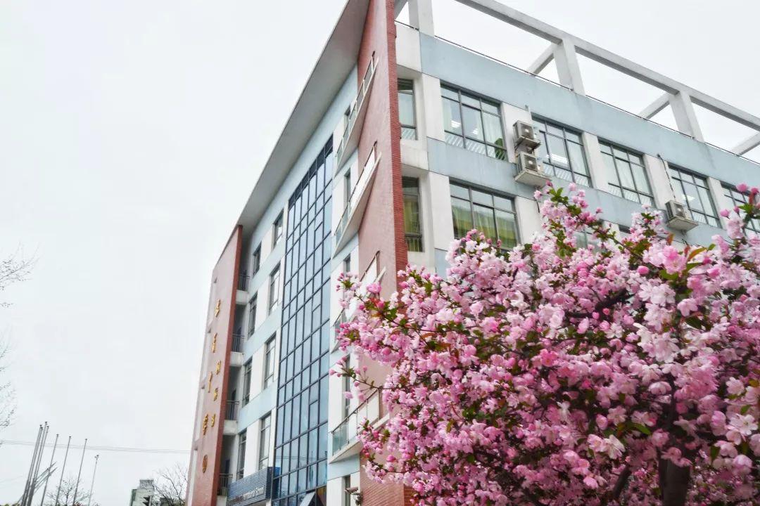 毕业典礼 | 此去前程似锦,归来仍是少年——记民办位育中学DP线上毕业典礼图片_37778931862957161709567 毕业典礼 | 此去前程似锦,归来仍是少年——记民办位育中学DP线上毕业典礼图片_37778931862957161709567