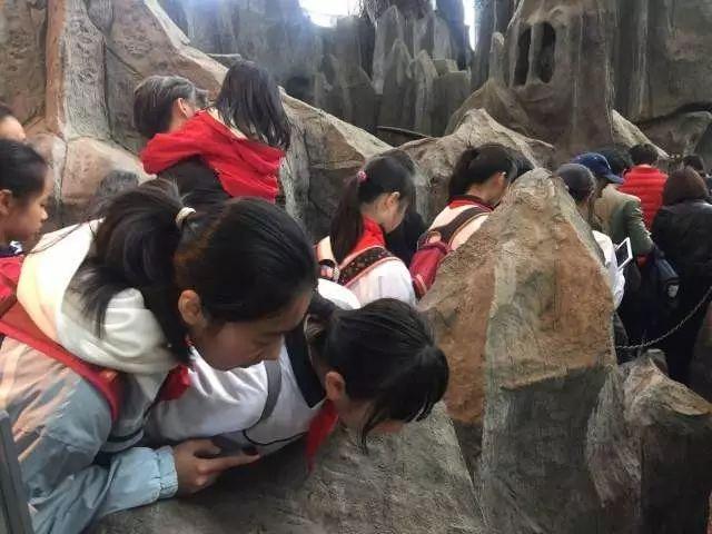春季行走课程——上海上大附外中图片_16383