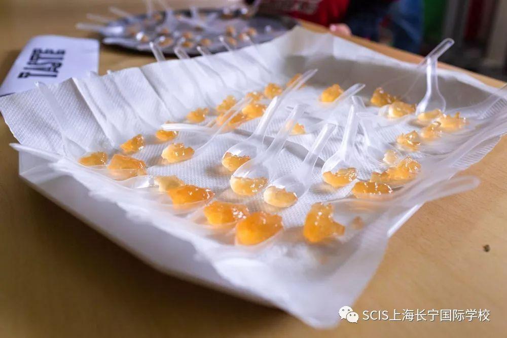 Fun and Exploration at ECE's Family Fall Harvest Festival图片_1023