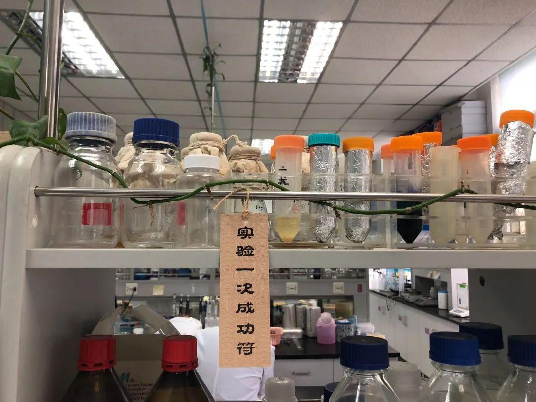 【2020届DP学子风采录】用显微镜看世界——从渺小细胞到漫漫人生图片_8589934591 【2020届DP学子风采录】用显微镜看世界——从渺小细胞到漫漫人生图片_8589934591