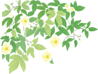 一抹暖阳,几许芬芳图片_1 一抹暖阳,几许芬芳图片_1