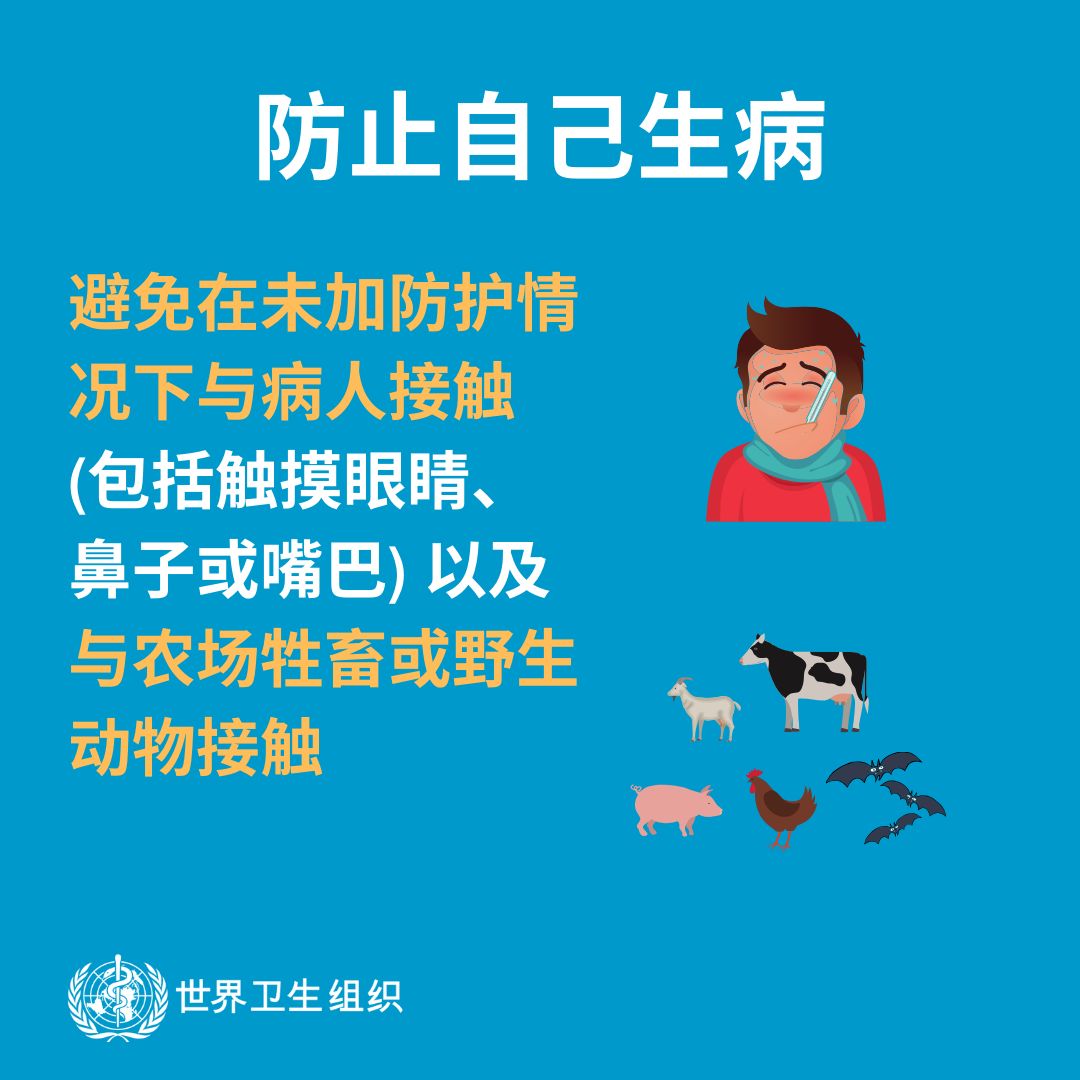 校园专栏-安全校园疫情防控指南 | Safe Campus epidemic prevention & control图片_2047 校园专栏-安全校园疫情防控指南 | Safe Campus epidemic prevention & control图片_2047