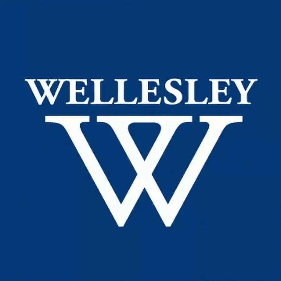 2020届毕业生升学数据分析 | Class of 2020 Admissions Accomplishments图片_32767 2020届毕业生升学数据分析 | Class of 2020 Admissions Accomplishments图片_32767