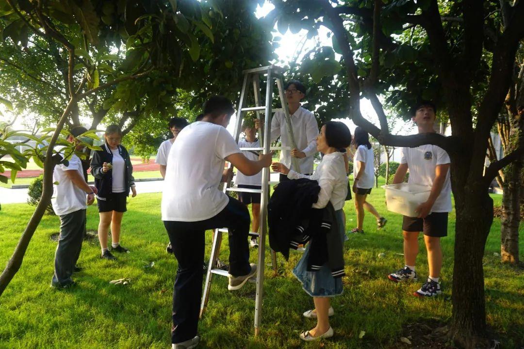 上海诺美学校的校园设施介绍 The introduction of NAIS campus facility图片_131071 上海诺美学校的校园设施介绍 The introduction of NAIS campus facility图片_131071