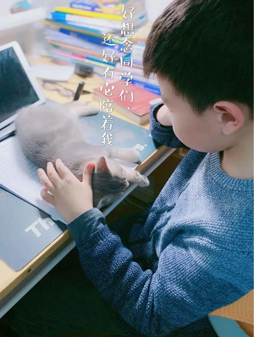 G5 | “我上网课的模样”——五年级学生线上学习感悟和方法分享图片_127