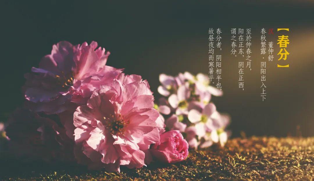 春分 | 一年之计在于春图片_1
