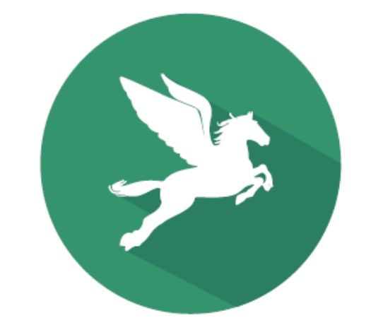暑期回顾 | 记西南位育中学国际部师生与Pegasus-HMUN的一场约会图片_7 暑期回顾 | 记西南位育中学国际部师生与Pegasus-HMUN的一场约会图片_7