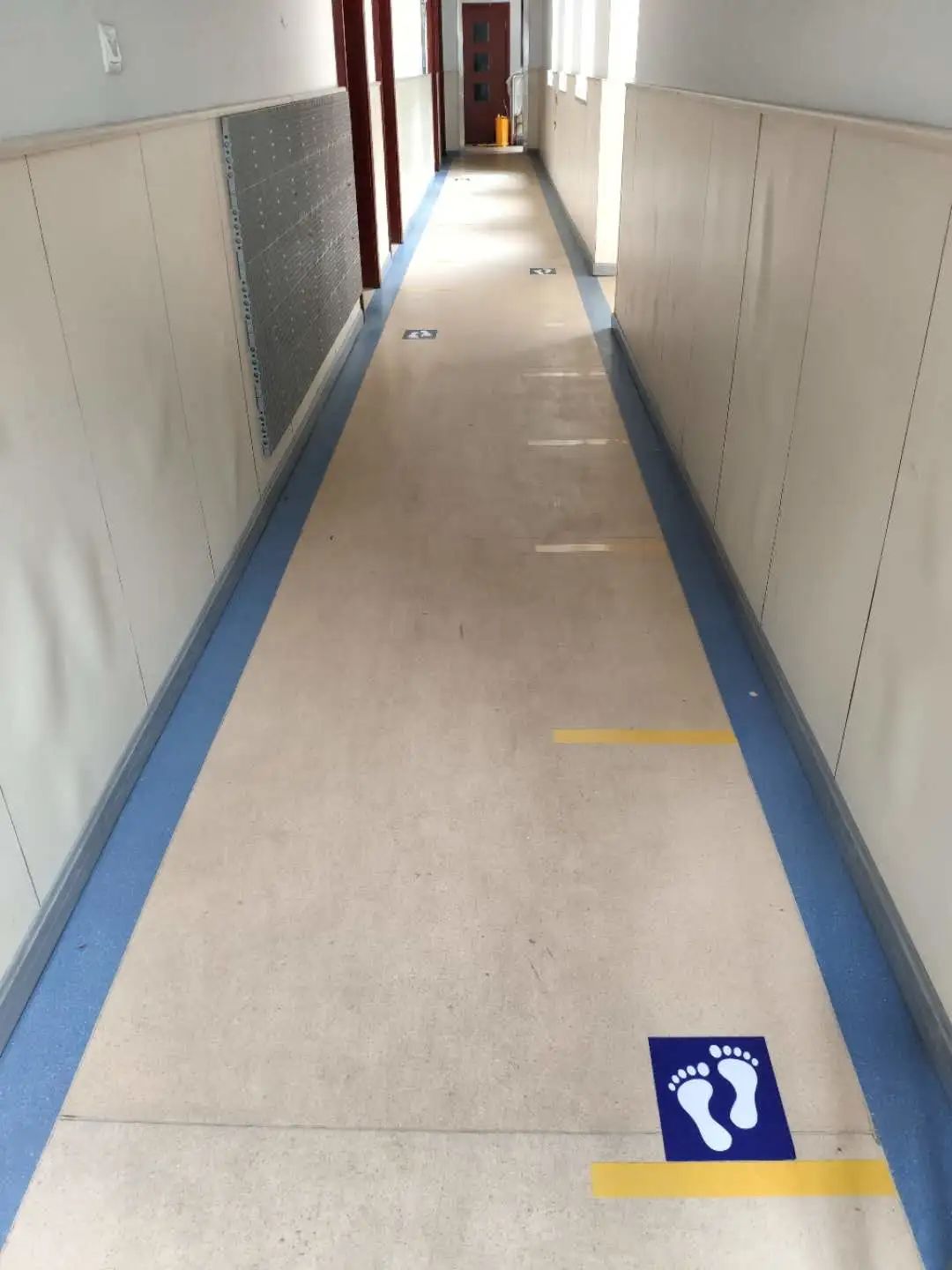 上海市实验学校国际部（浦西校区）四五年级复学指南图片_511