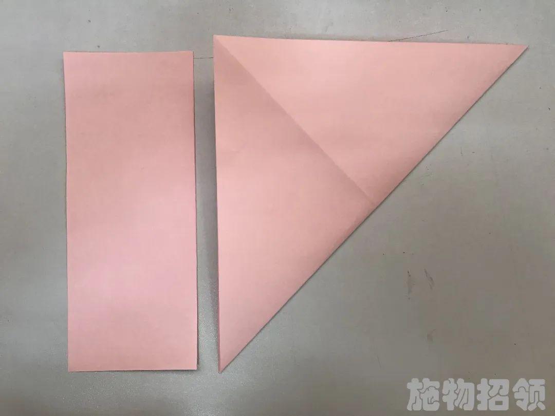 【施物招领】少年，你想做“飞猪”吗？图片_17179869183