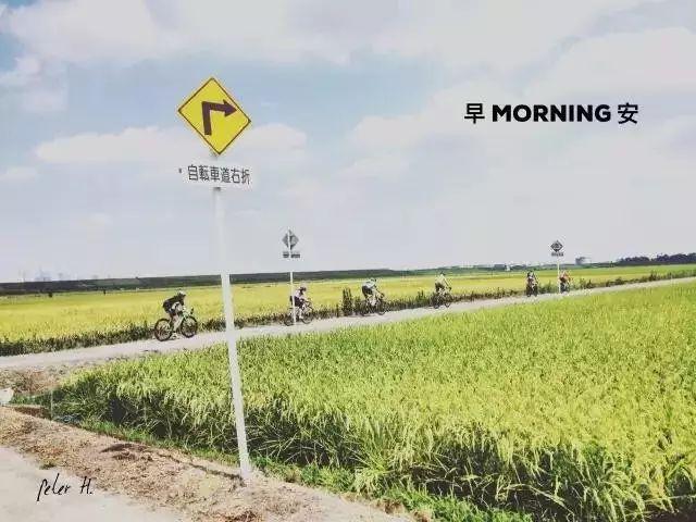 TA游学｜RTG骑行 第一站——上海图片_2097151
