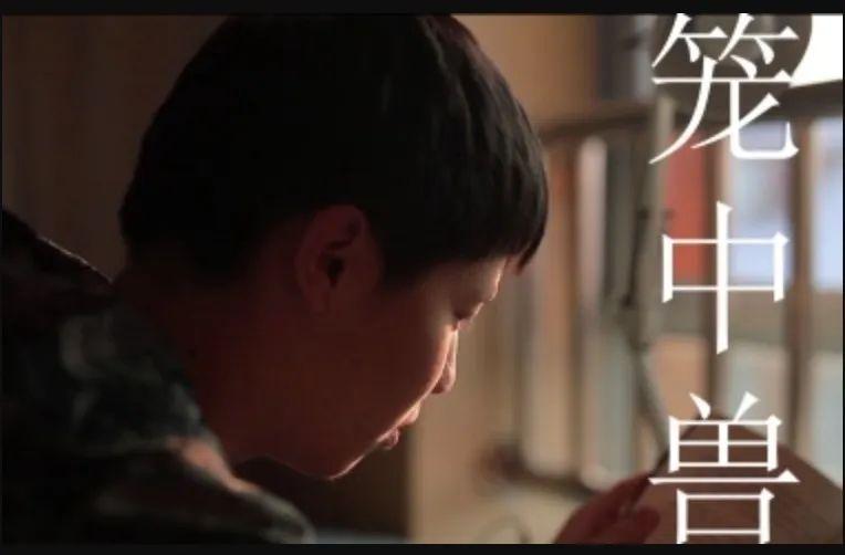 Making life richer with motion pictures图片_31