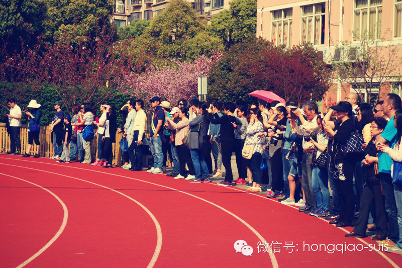 国际部运动会开始啦！Sports Meeting Today图片_7