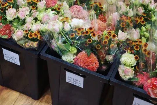 融小花艺沙龙首次线下活动图片_31 融小花艺沙龙首次线下活动图片_31